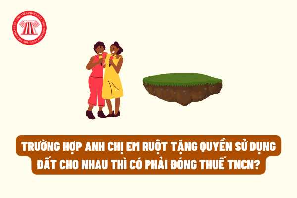 Trường hợp anh chị em em ruột tặng kèm quyền áp dụng đất cho nhau thì tất cả phải Trường hợp các bạn em ruột tặng quyền áp dụng đất lẫn nhau thì tất cả phải