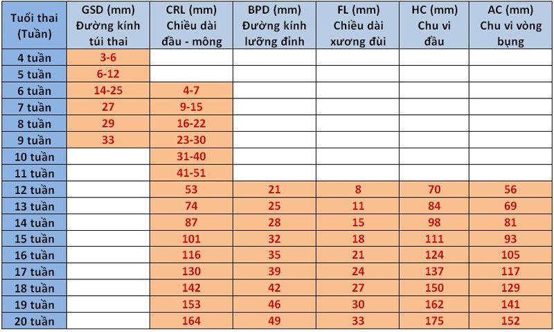 Thai tuần kích thước bao nhiêu Thai tuần kích thước bao nhiêu
