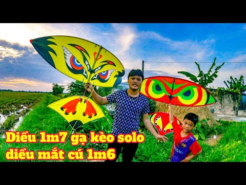 So sánh thử nghiệm diều m cú lườm cùng m mắt cú sẽ như vậy nào