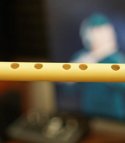 Sáo trúc cho người mới tập giá bán rẻ Sáo trúc cho người mới tập giá chỉ rẻ